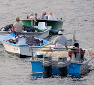 Heiko sei Dank Bilder Oman Fjord Dhaufahrt
