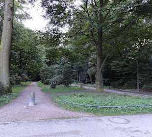Der Weg vom Stadtpark