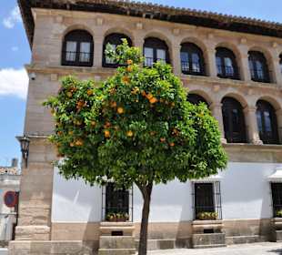 Rathaus an der Plaza Duquesa de Parcent