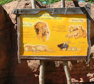Zoo