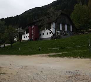 Alpen Wildpark Feld am See