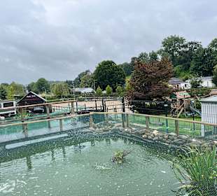 Kinderbauernhof Het Bukske