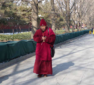 Mönch mit Handy vor Lama - Tempel