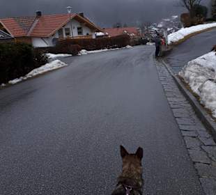 Stadtrundgang Bodenmais