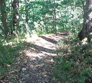 Tour entlang der Traifelbergfelsen