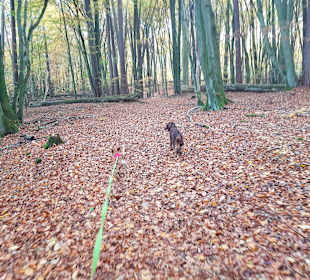 Wandern Zwenzow