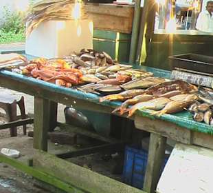 Viel Auswahl an Fisch