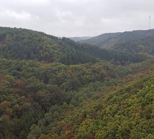 Ausblick von der Brücke 