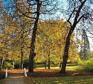 Парк Замка Ойтин.Золотая осень.