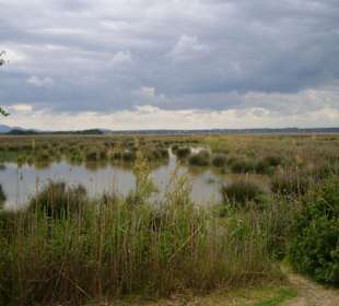 Naturpark S´Albufera