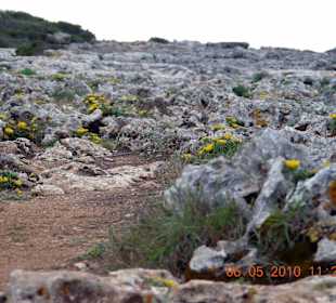 Weg zum Castell an der Steilküste entlang