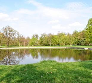 Staw w parku zamkowym.