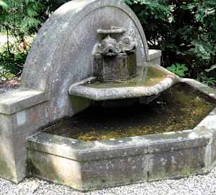 Impressionen vom Stadtfriedhof