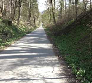 Rotwilderlebnispfad