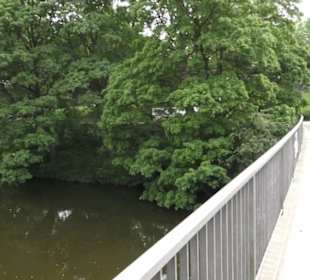 Alter Botanischer Garten