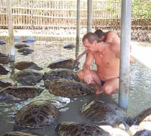 Schildkröteninsel