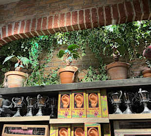 Harry Potter New York Store