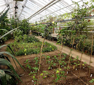 Impressionen aus den Gewächshäusern