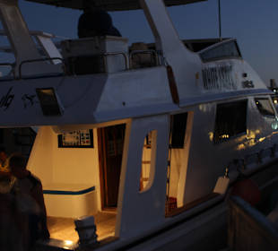 Schnorchel Boot´s Ausflug zu den Korallen