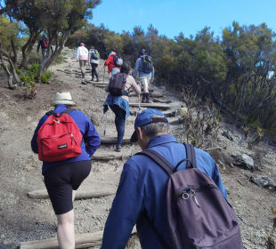 Inselrundfahrt Gran Canaria