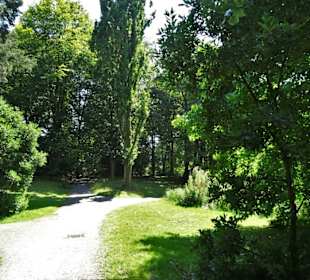 Impressionen aus dem Schlossgarten