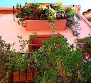 Altstadt von Collioure
