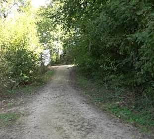 Bussen Schöpfungsweg Offingen
