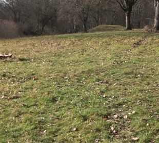 Grillplatz Tellerhecke