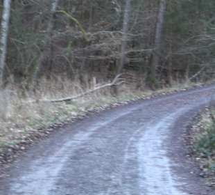 Wanderung rund um den Ochsenweiher