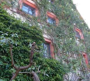 Al28 - Dornröschenhaus