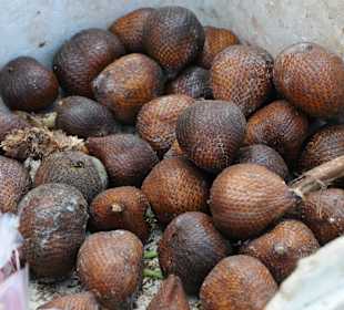 Schlangenhaut Früchte