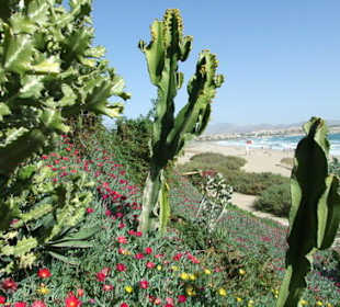 Auf dem Weg nach Costa Calma