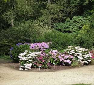 Eindrücke vom Rundgang durch den Park der Gärten