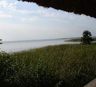 Blick über den Müritz - See
