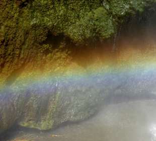 Regenbogen