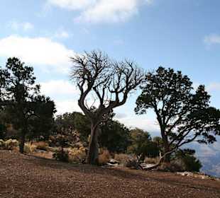 Auf Wanderschaft im NP