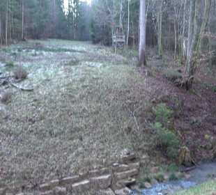 Ochsenweiher Rundweg