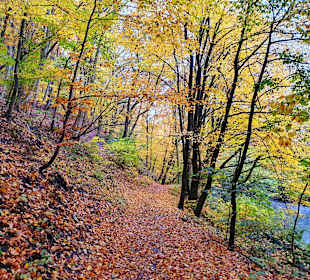 Wandern Bad Lauterberg