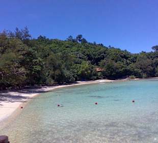 Sapi island