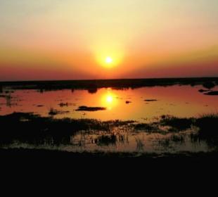 Sonnenuntergang Linyanti Sümpfe