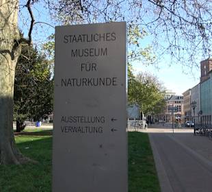 Staatliches Naturkunde Museum