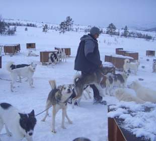 Hurtigruten-Ausflug zur Husky-Farm