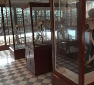 Ghar Dalam Cave & Museum