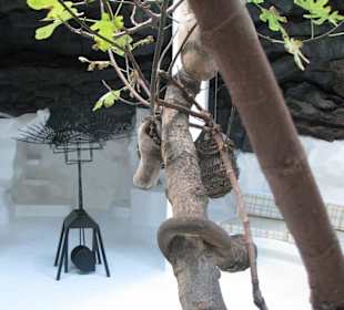 Skulptur im weißen Raum