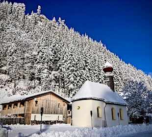 Burgenwelt Ehrenberg