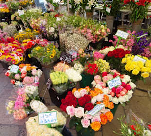 Eindrücke vom Blumenmarkt in Aix-en-Provence