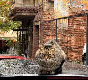 Stadtteile Balat, Fener, Fatih