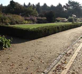 Botanischer Garten