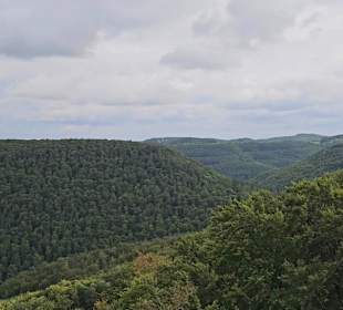 Premiumwanderweg „hochgehtürmt"