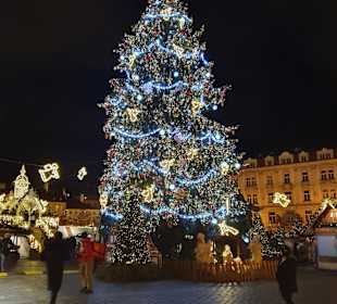 Weihnachtsmarkt Prag/Praha